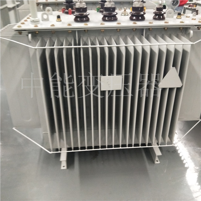 安阳S20-800KVA变压器