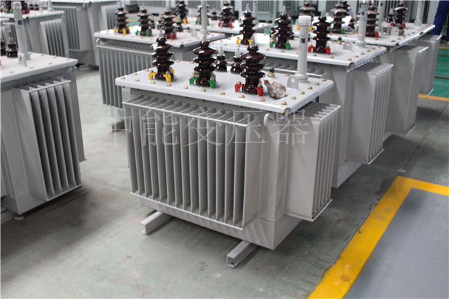安阳S22-250KVA/10KV变压器